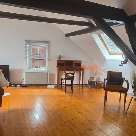 Ferienwohnung Loft Gaia Brunstatt-Didenheim Exterior foto